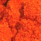�X�p�C�X01